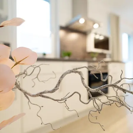 Schuetzenstrasse 15 La